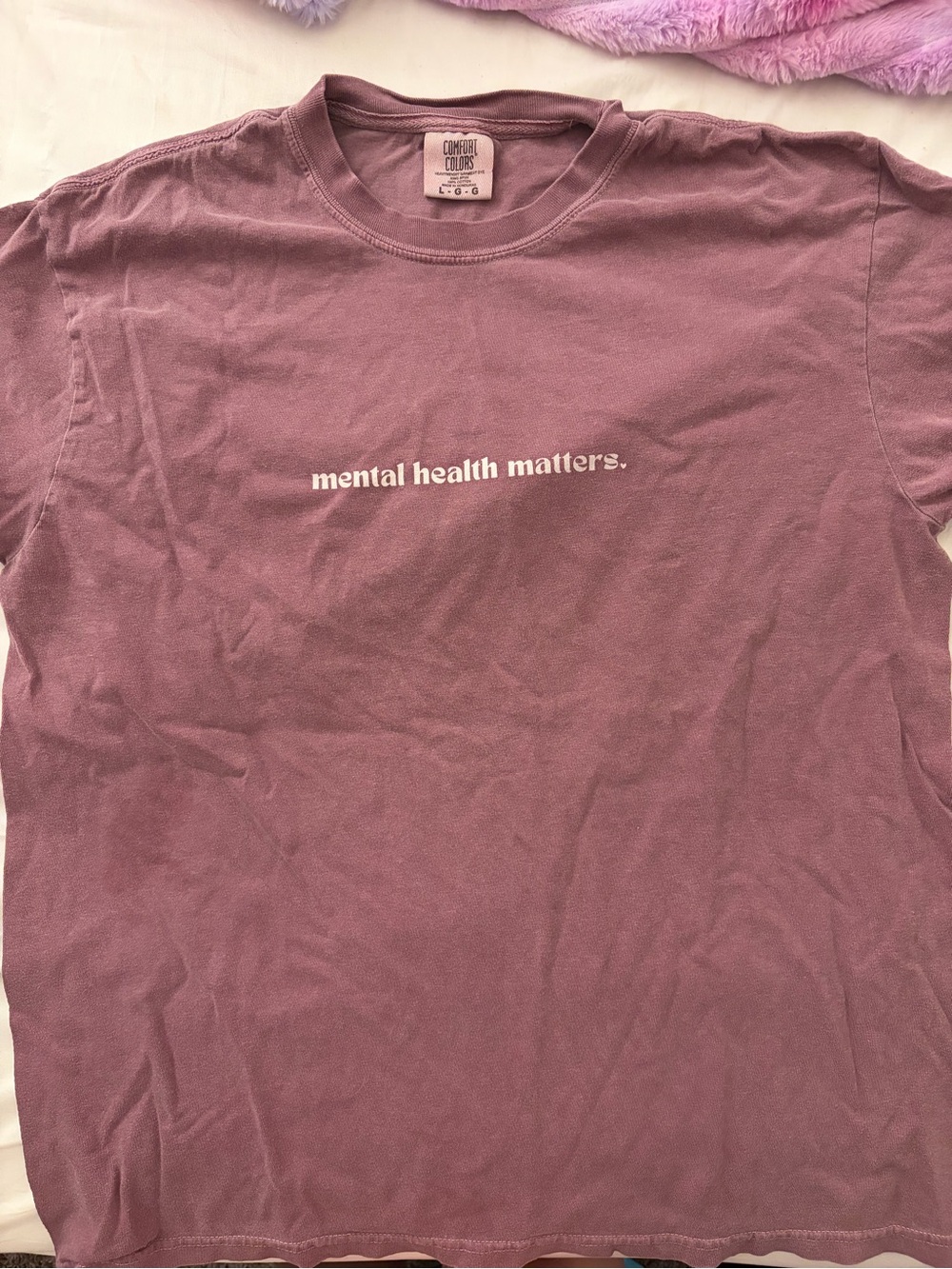 Comfort Colors Mauve ‘Mental Health Matters’ Graphic Tee